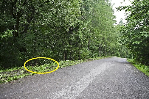 Auto havarovalo v smere od Banskej Štiavnice na Vyhne.