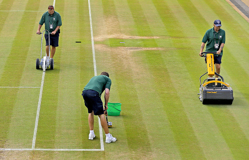 Trávnik vo Wimbledone denne umývajú obyčajným mopom!