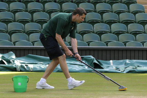 Trávnik vo Wimbledone denne umývajú obyčajným mopom!