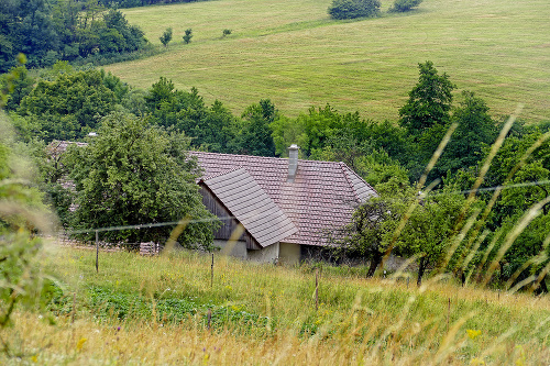 Deti bývali úplne v lese na samote.