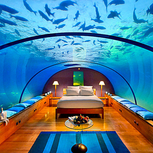 Presklené izby budú ponúkať panoramatický pohľad na podmorský svet.
