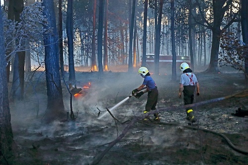 V stredu popoludní zachvátil obrovský požiar les na Záhorí v blízkosti obcí Jakubov a Láb v okrese Malacky. 