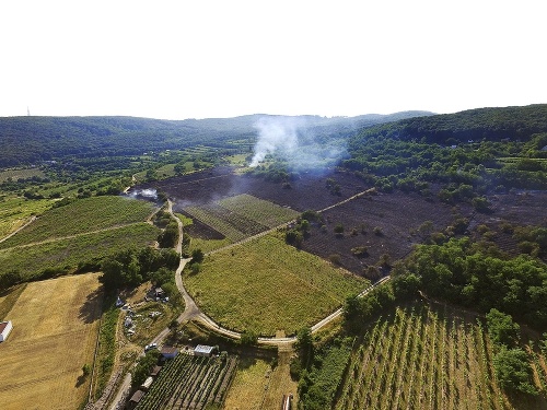 V Rači zhoreli obrábané aj neobrábané vinohrady.