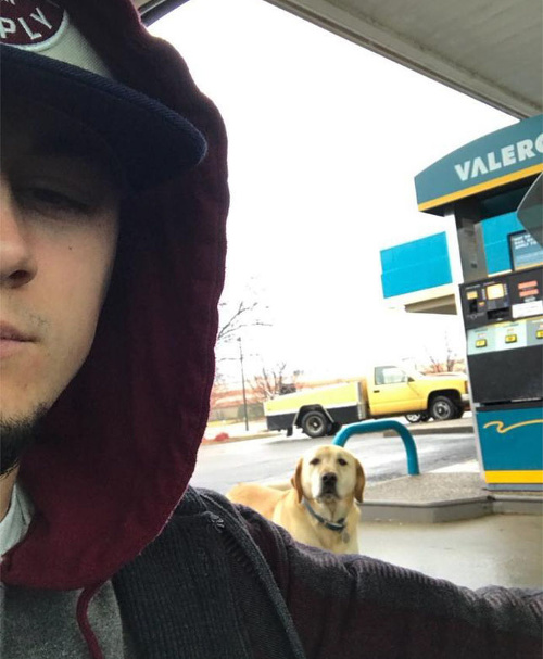 Tyler sa so psíkom aspoň odfotil.