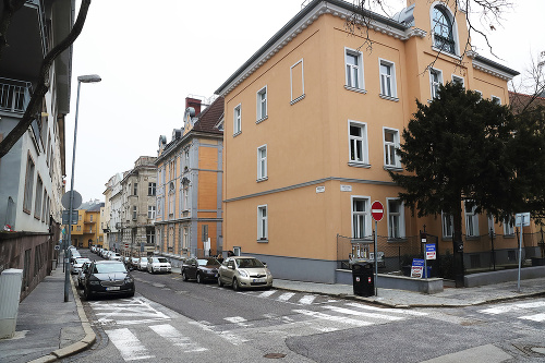 Lipšica v stredu ráno napadli neďaleko škôlky v Bratislave.