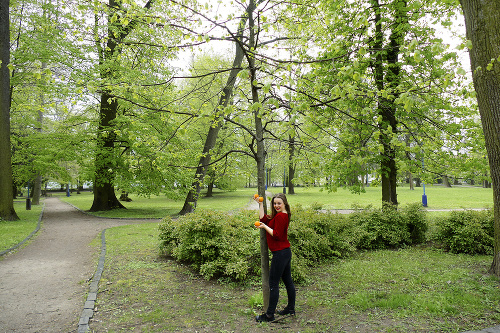 Na mieste dubnickej Oranžérie dnes stojí park.