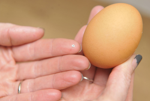 Žena našla vo vajíčku malý diamant. 