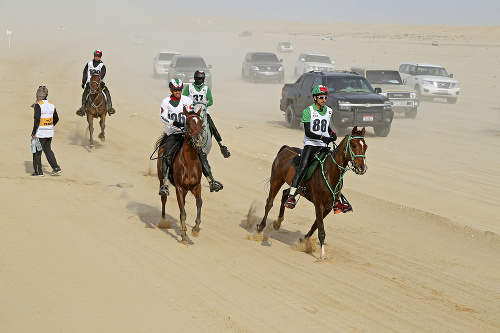 Dostihy v púšti: Vyhrávajú domáci arabskí jazdci, v poslednom čase sa veľa hovorí o dopovaní koní.