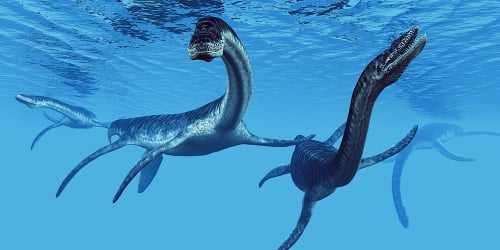 Plesiosaurus: Je možné, žeby tento prehistorický tvor žil dodnes v jazere Loch Ness?