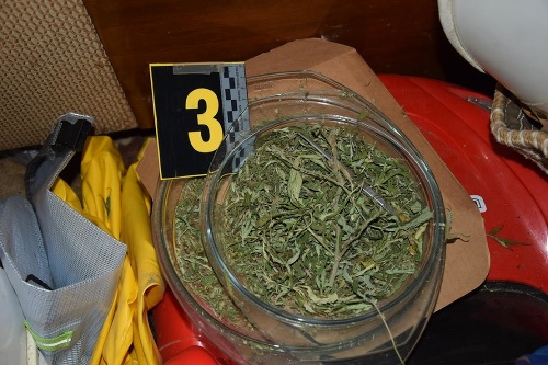 Pri protigrogovaj akcii v Michalovciach našli aj sušenú rastlinu - marihuanu.