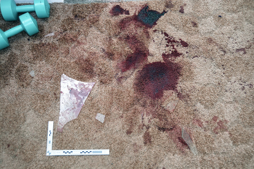 V dome bolo množstvo krvi.