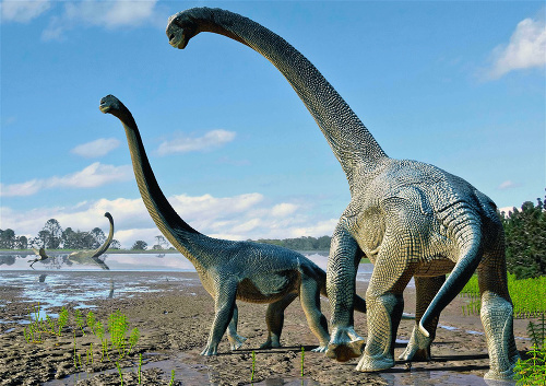 Paleontológ našiel aj vzácne dinosaurie vajcia. 