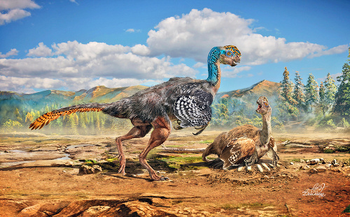 Paleontológ našiel aj vzácne dinosaurie vajcia. 