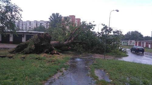 Búrka v Komárne vyvracala stromy.