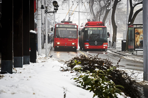 Po meste momentálne premávajú dva typy trolejbusov.