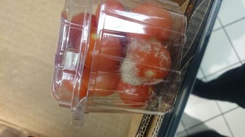 Takéto paradajky ponúkali v obchode.