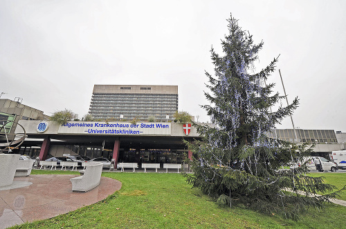 V roku 2011 speváka hospitalizovali vo viedenskej nemocnici pre zápal pľúc.