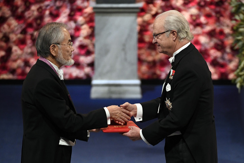 Japonský vedec Jošinori Ósumi (vľavo) preberá z rúk švédskeho kráľa Karla XVI. Gustáva Nobelovu cenu 2016 za medicínu. 