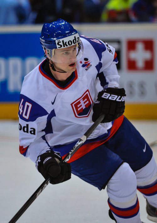 Marek Svatoš hrával za reprezentáciu, ako aj za kluby v NHL, KHL a na Slovensku. 
