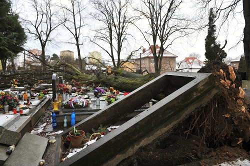 Veterná smršť poškodila 60 hrobov. 