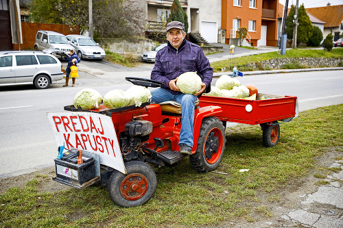 Ladislav Slezák (70) predáva kapustu v  Stupave.