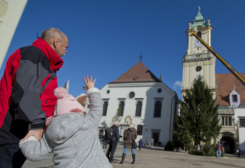 Bratislavčania sa kochali mohutným stromom.