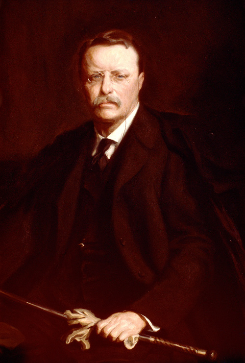 Theodore Roosevelt (1901 - 1909).