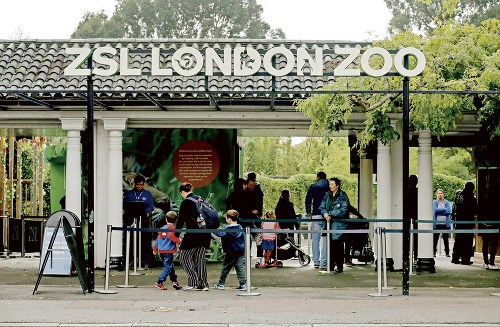 Incident sa stal v druhej najstaršej zoo sveta.