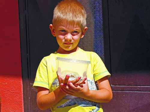 Adamko (5) s otcom Jurajom (33) našli nebezpečnú pradiarku vo vysokej tráve v záhrade.