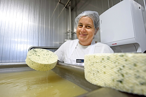 NÁROČNÁ PRÁCA: Po procese lisovania treba zrejúci syr ponoriť do slaného roztoku.