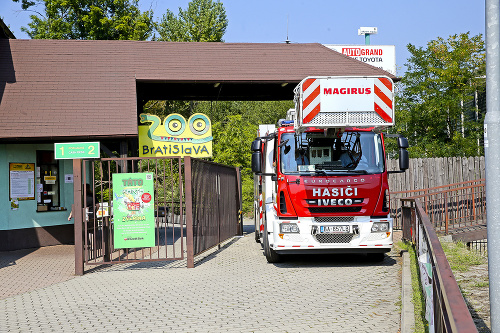 V zoo zasahovali aj hasiči.