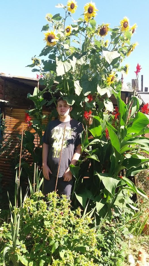 Adam (16) sa odfotil so slnečnicou, aby bolo vidieť, aká je vysoká.