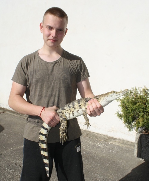Matej Procházka (15) sa zaúča, ako ošetriť krokodíla filipínskeho.