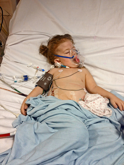 2014 - Matilda po transplantácii obličiek.