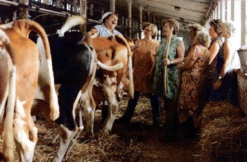 Ba družstve: Časť filmu sa odohráva v kravíne.