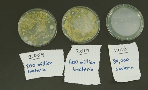 Až 600 miliónov baktérií našli v náramku z roku 2010.