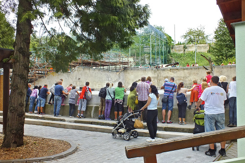 Zoo Bojnice je najstaršou a jednou z najnavštevovanejších zoo na Slovensku.