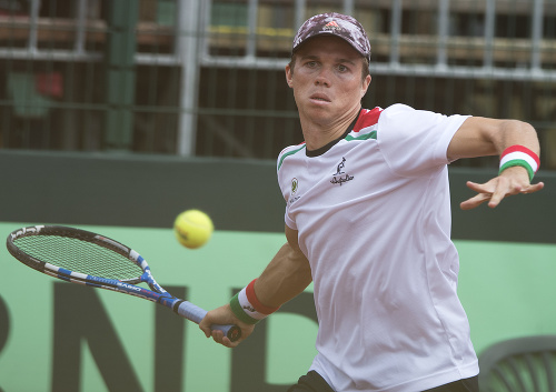  Na snímke maďarský reprezentant Péter Nagy v zápase Davisovho pohára proti Slovákovi Andrejovi Martinovi. 