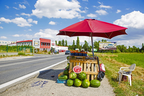 Melóny pri ceste na Rybničnej vo Vajnoroch.