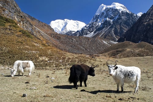 Nehostinný kraj: Hoci tam toho veľa nie je, Čína má jasno - Tibet patrí jej!