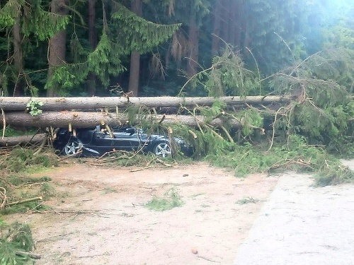 Na BMW sa zrútili tri stromy.