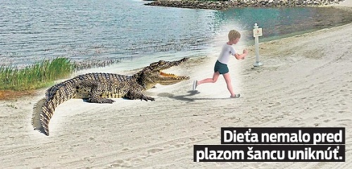 Dieťa nemalo pred plazom šancu uniknúť.