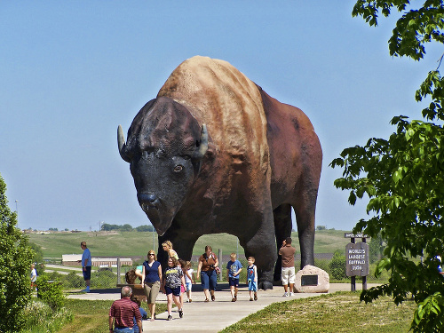 Najväčší bizón.