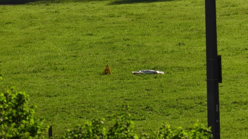 Na snímke z televízneho záznamu prikryté telo leží na mieste tragickej streľby v rakúskom Nenzingu 22. mája 2016. 