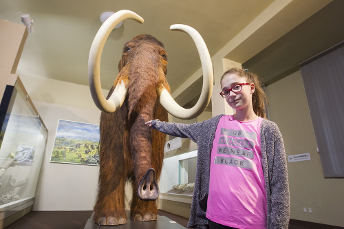 „Bol tu mamut, ktorý vyzeral úplne, ako keby bol živý, takže som sa ho aj trošku bála dotknúť.“