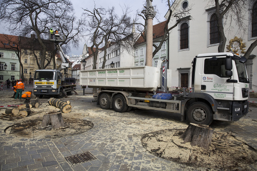 Staré brestovce spílili v rámci projektu Bratislava sa pripravuje na zmenu klímy.