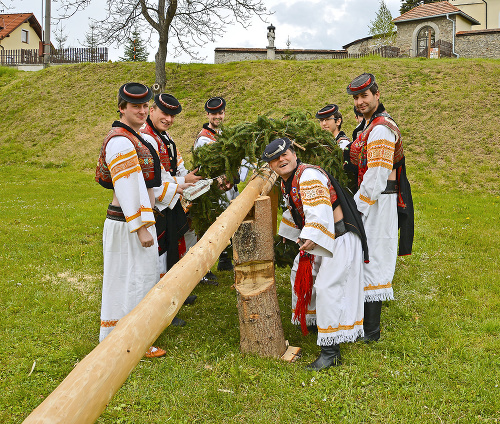 60 minút: Chlapci z FS Očovan po očistení stromu pripevňujú na jeho vrch veniec zo smrekových konárov a fľašku pálenky. 