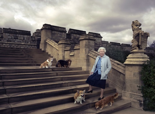 Na snímke vydanej 20. apríla 2016 Buckinghamským palácom britská kráľovná Alžbeta II. pózuje počas prechádzky so svojimi psami na Windsorskom zámku. 