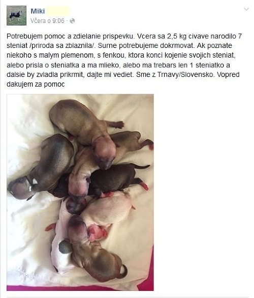 Miki sa s prosbou o pomoc obrátil na ľudí na Facebooku.