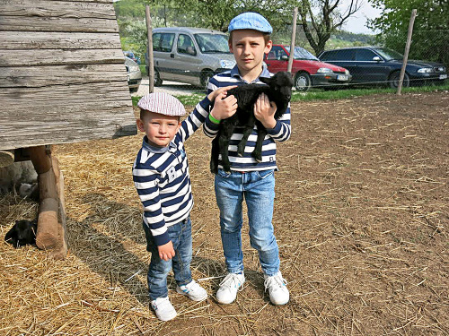 Bračekovia Dominik (7, vpravo) a Matej (2) z Tuchyne pri Ilave sa hrali s  jahniatkom na minifarme.